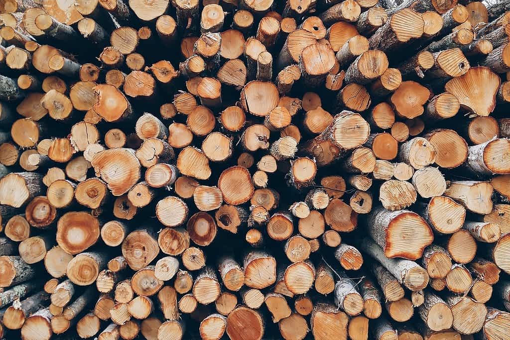 La leña en la calefacción 1 Uso de la leña en chimeneas